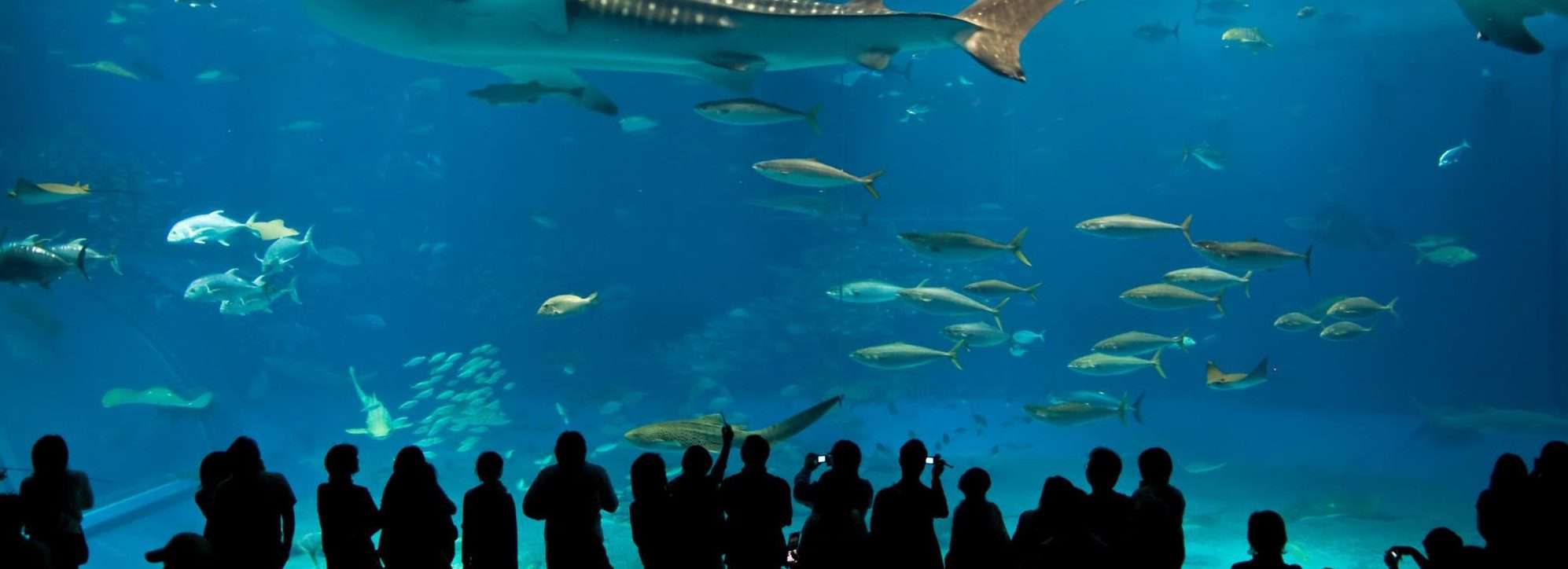 Downtown Aquarium In Houston